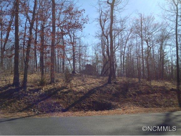 83 Cross Ridge Drive, Unit 83 Rutherfordton, NC 28139 - Photo 4 of 12