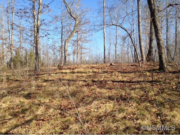 83 Cross Ridge Drive, Unit 83 Rutherfordton, NC 28139 - Photo 5 of 12