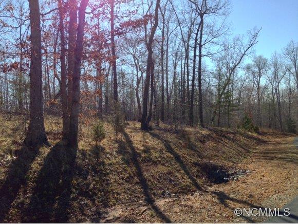83 Cross Ridge Drive, Unit 83 Rutherfordton, NC 28139 - Photo 7 of 12