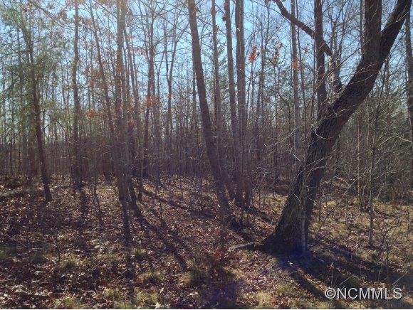 83 Cross Ridge Drive, Unit 83 Rutherfordton, NC 28139 - Photo 8 of 12