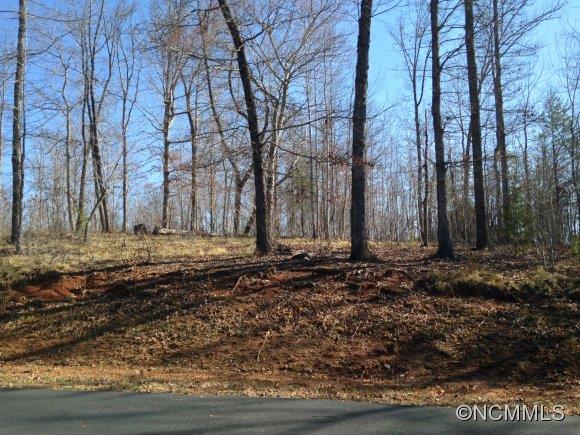 83 Cross Ridge Drive, Unit 83 Rutherfordton, NC 28139 - Photo 9 of 12