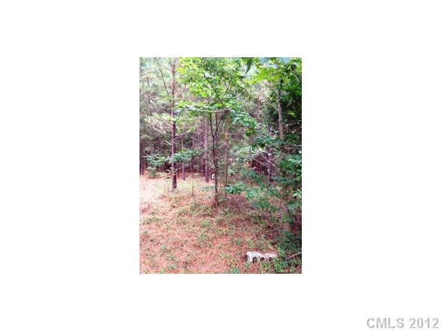 767 Rowells Road Catawba, SC 29704 - Photo 3 of 5 Gallery Image 3