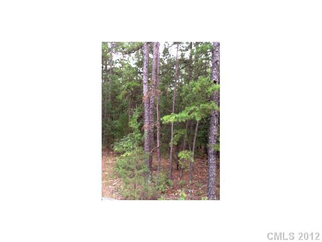 767 Rowells Road Catawba, SC 29704 - Photo 5 of 5 Gallery Image 5