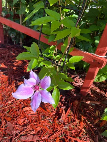 $279,900 | 4057 Highway 11, International Falls, MN 56649