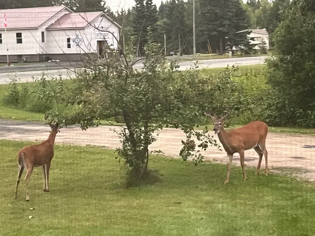 $279,900 | 4057 Highway 11, International Falls, MN 56649