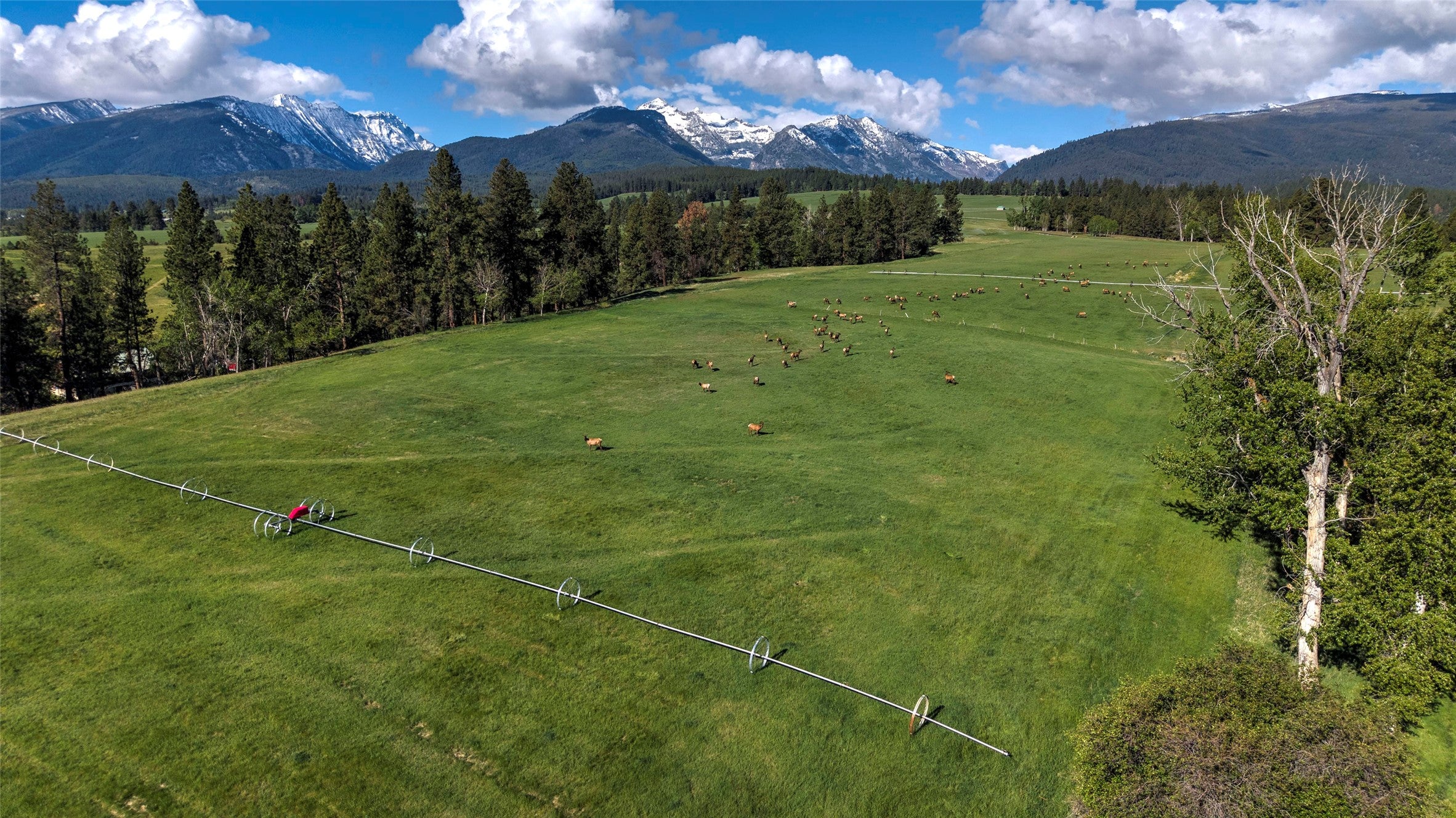 246 Coal Mine Road Darby, MT 59829 - Photo 22 of 135 Gallery Image 22