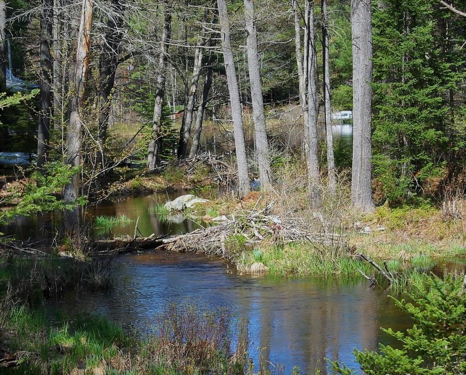 90 Evergreen Road Bridgton, ME 04009 - Photo 22 of 24 Beaver Dam
