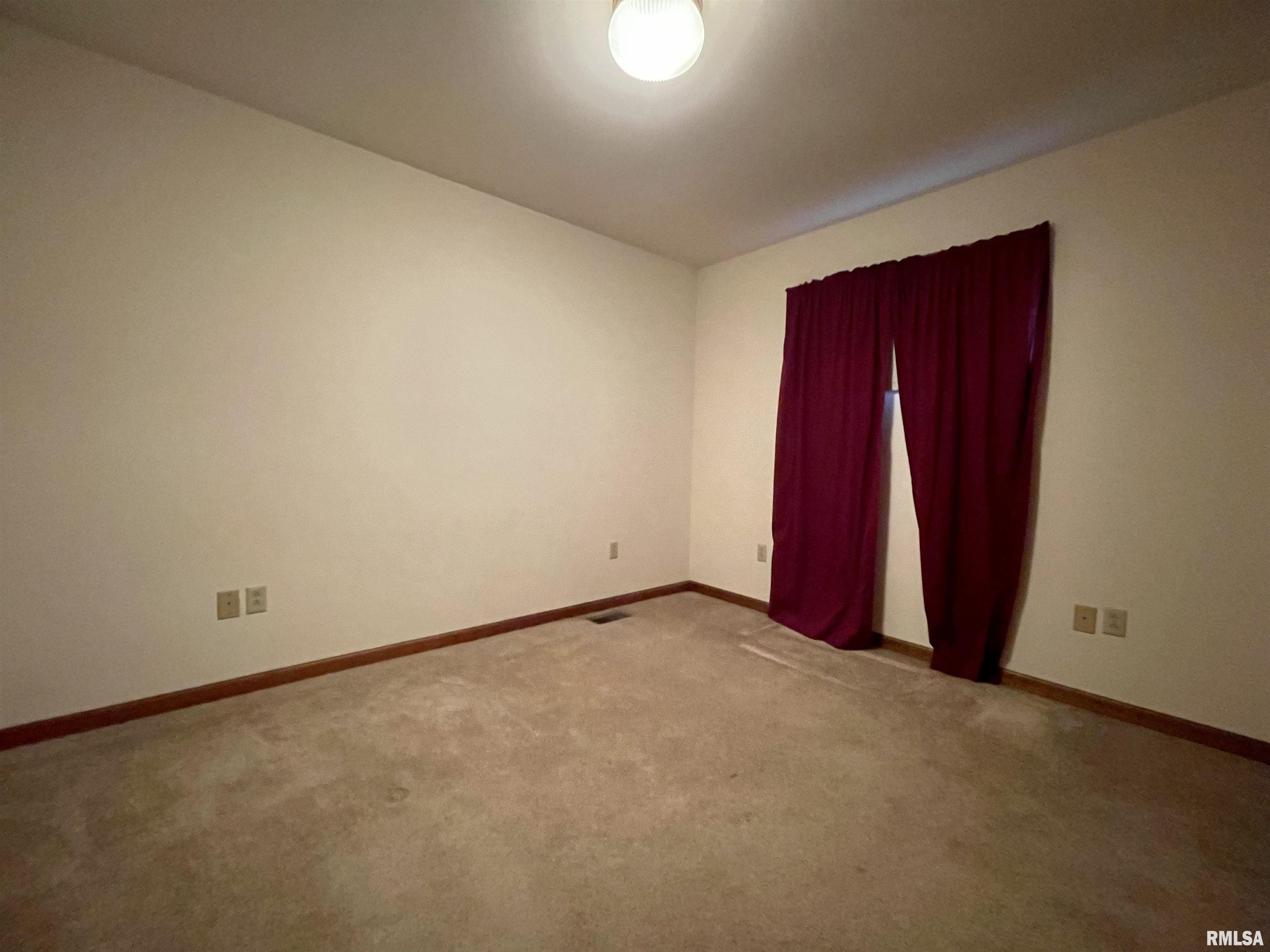 505 Vines Road Cobden, IL 62920 - Photo 14 of 24 Gallery Image 14