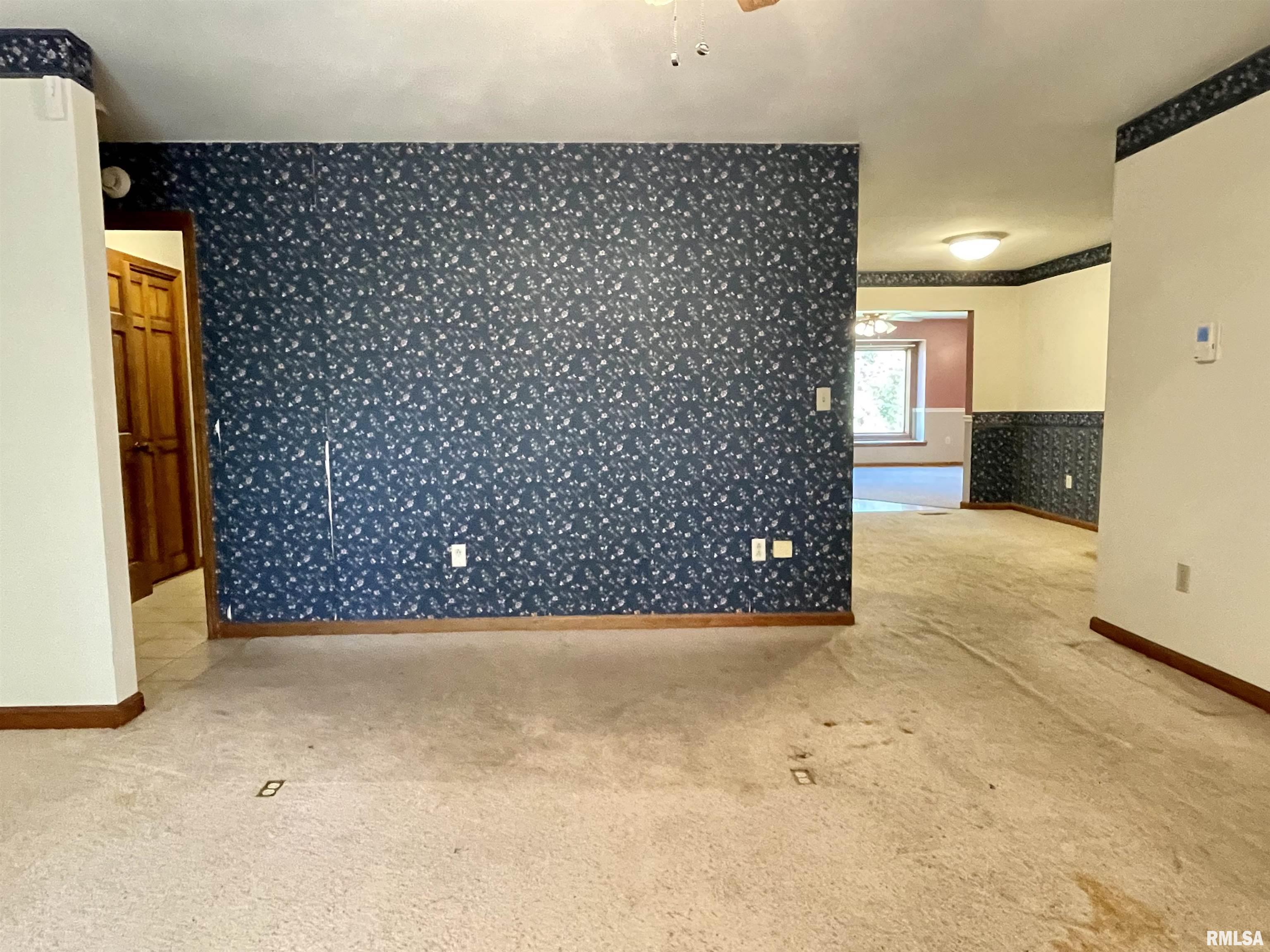 505 Vines Road Cobden, IL 62920 - Photo 4 of 24 Gallery Image 4