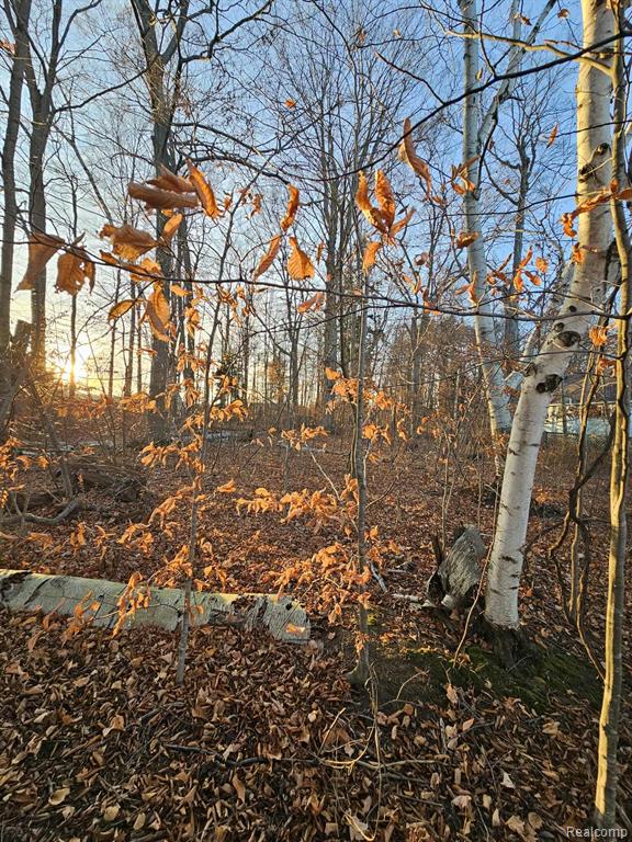 0 North Lakeshore Road Port Sanilac, MI 48469 - Photo 5 of 9