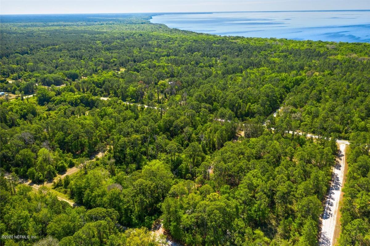 0 Georgetown Point/davis Avenue Georgetown, FL 32139 - Photo 12 of 16 16-DJI_0114