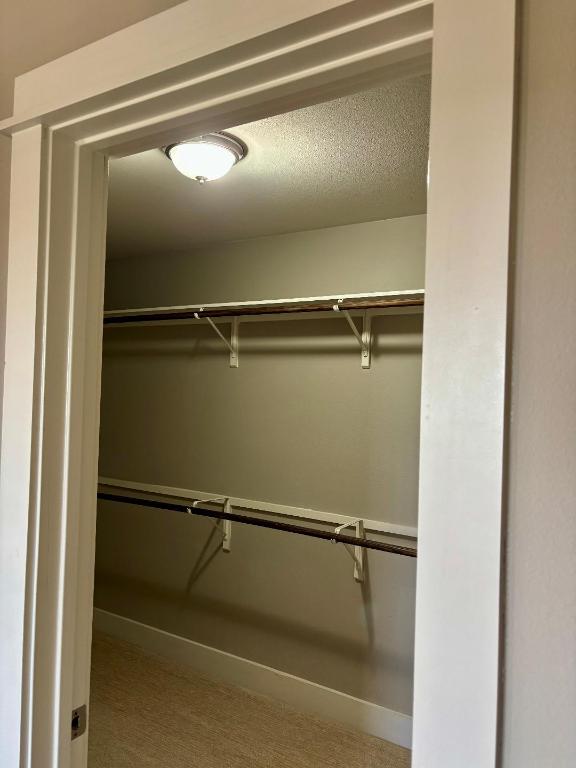 Undisclosed Address Dripping Springs, TX 78620 - Photo 15 of 19 View of closet