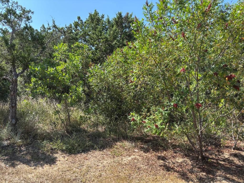 Undisclosed Address Dripping Springs, TX 78620 - Photo 19 of 19 View of undeveloped land
