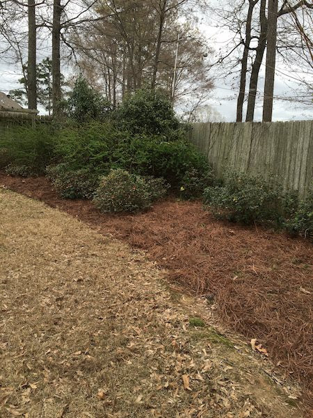 507 Fox Bay Ridge Brandon, MS 39047 - Photo 20 of 24 Photo 20