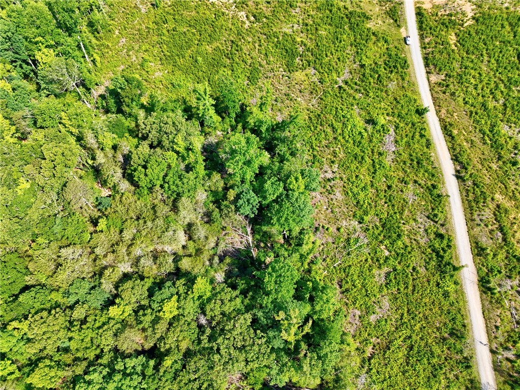0 Horse Farm Road Iva, SC 29655 - Photo 21 of 32 Gravel road access borders dense woodland and cleared acreage on this scenic rural lot.