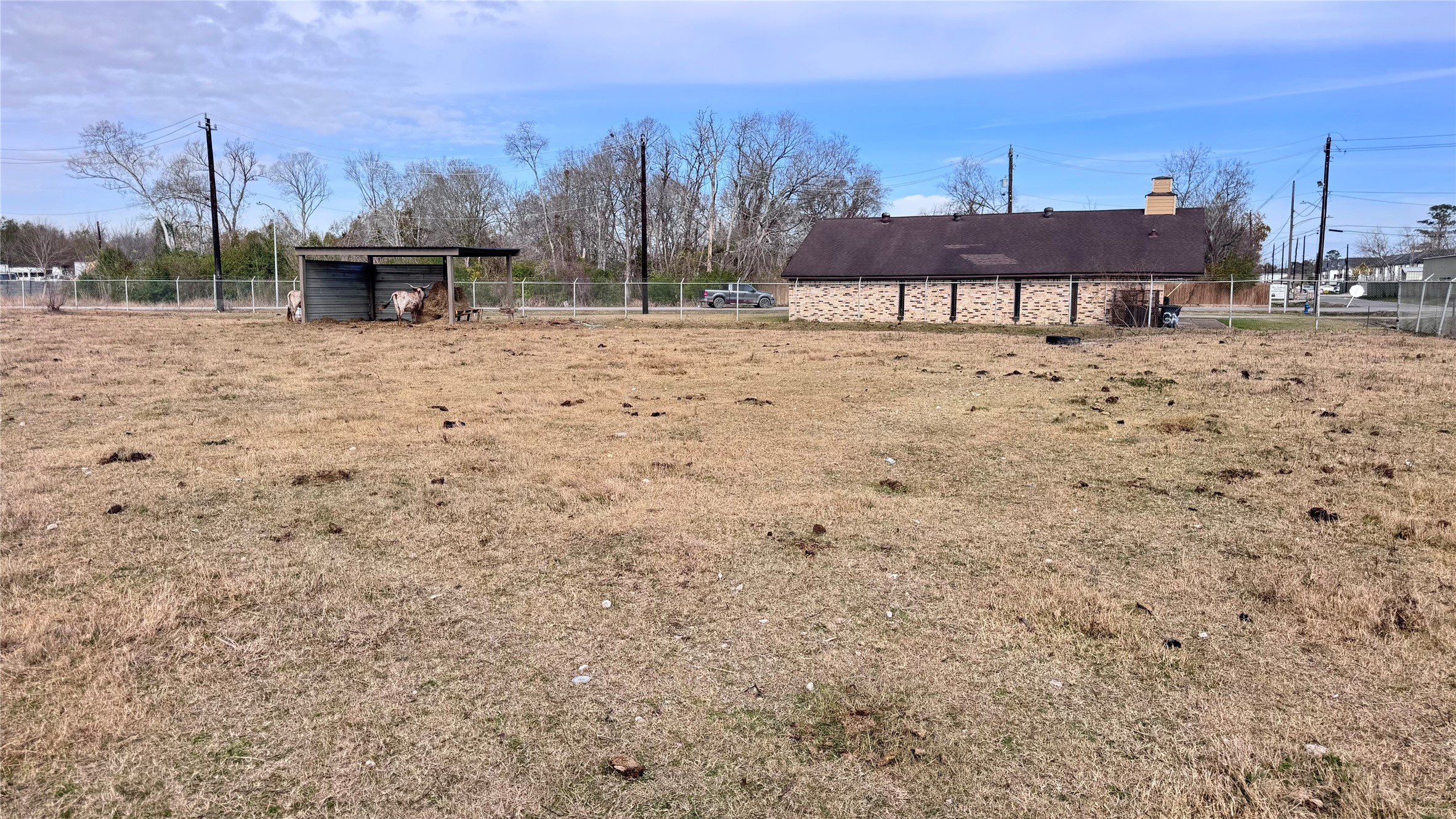 6409 Haight Street Houston, TX 77028 - Photo 4 of 12 a view of a terrace with a bench and trees