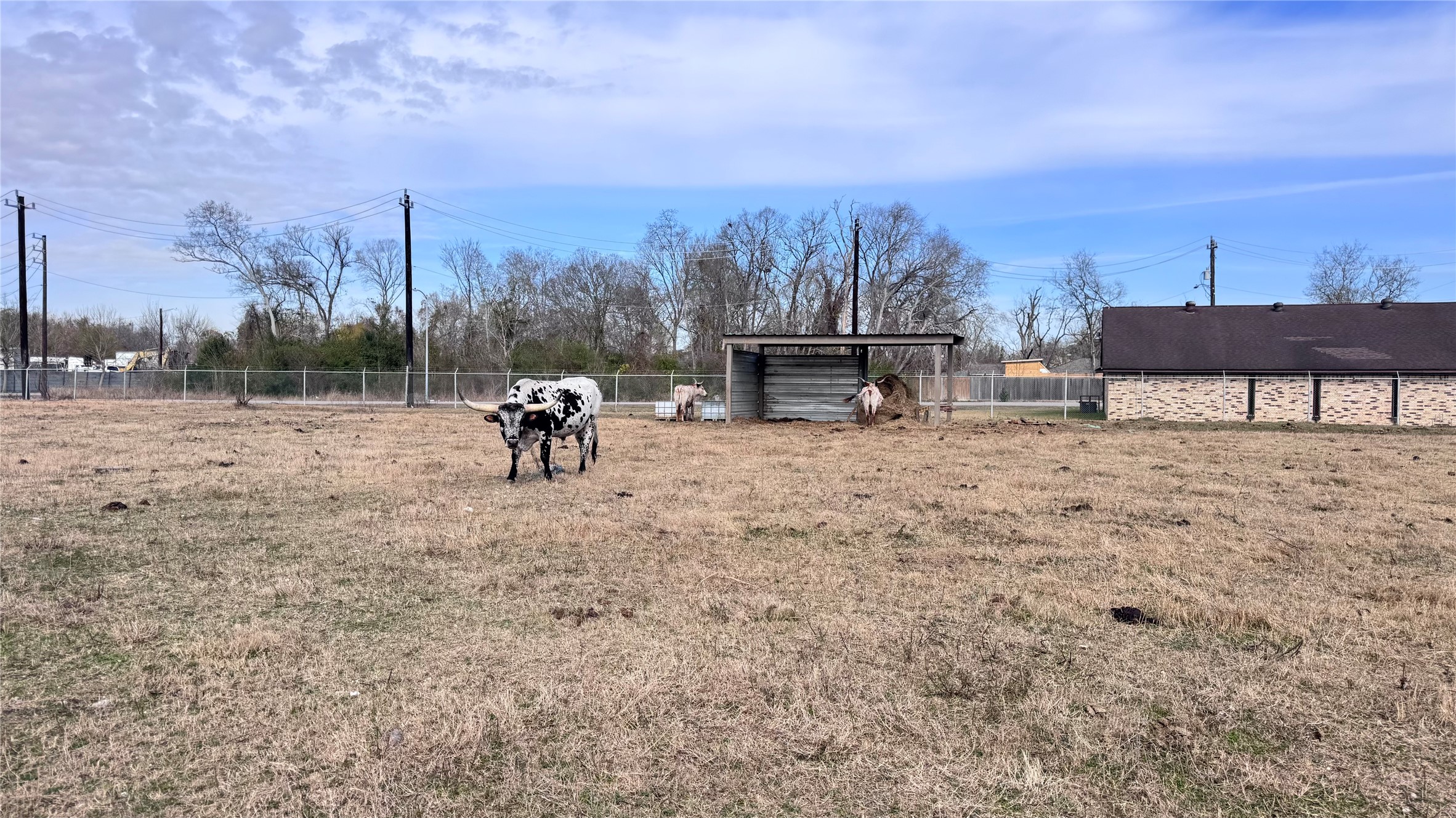 6409 Haight Street Houston, TX 77028 - Photo 5 of 12 a view of a terrace with sitting area