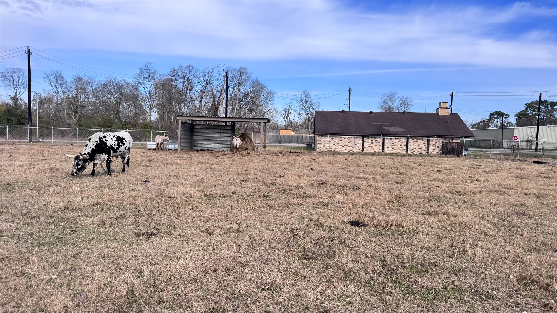 6409 Haight Street Houston, TX 77028 - Photo 8 of 12 a view of a terrace with a bench and trees