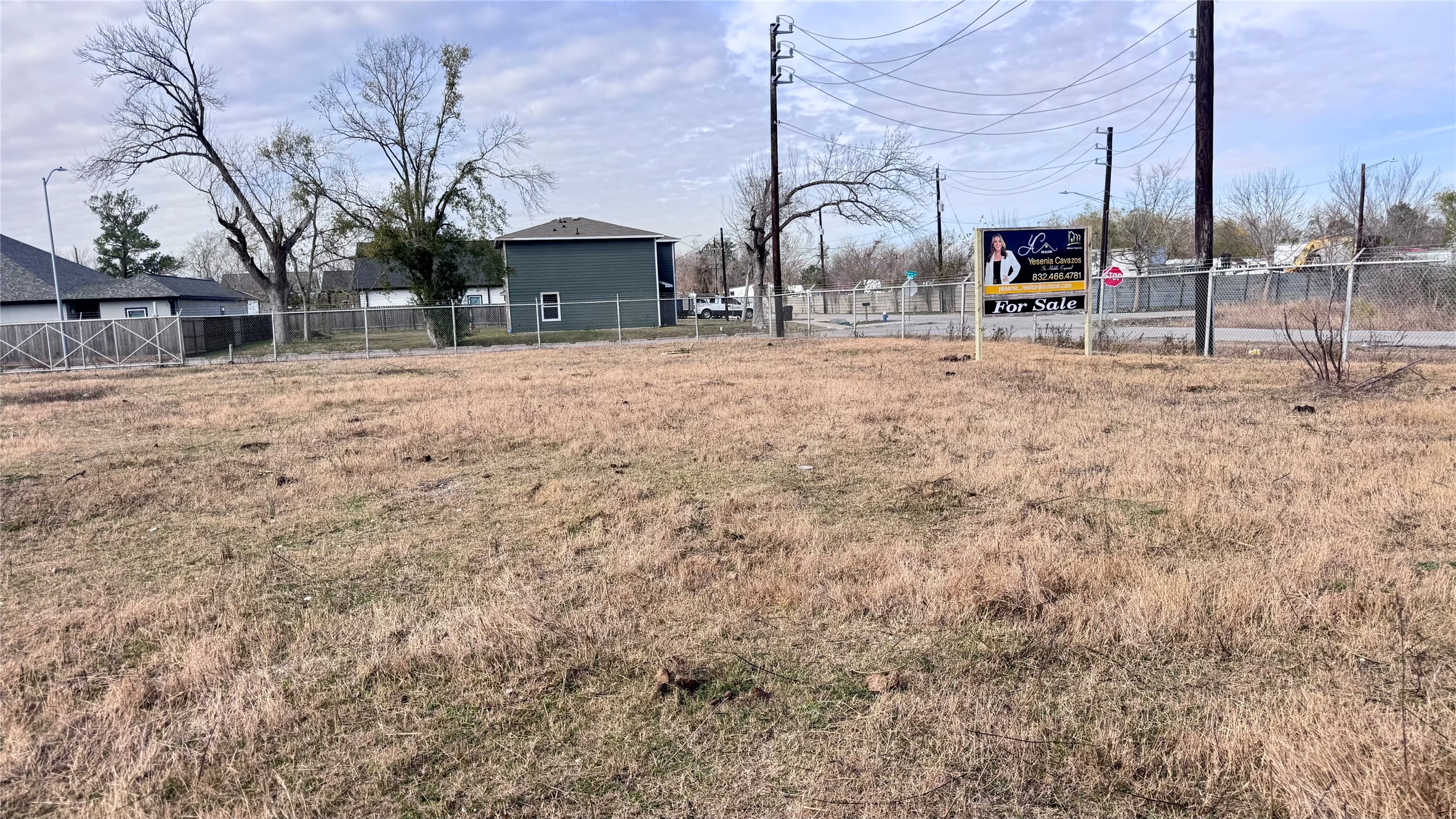 6409 Haight Street Houston, TX 77028 - Photo 9 of 12 a view of large house with a yard
