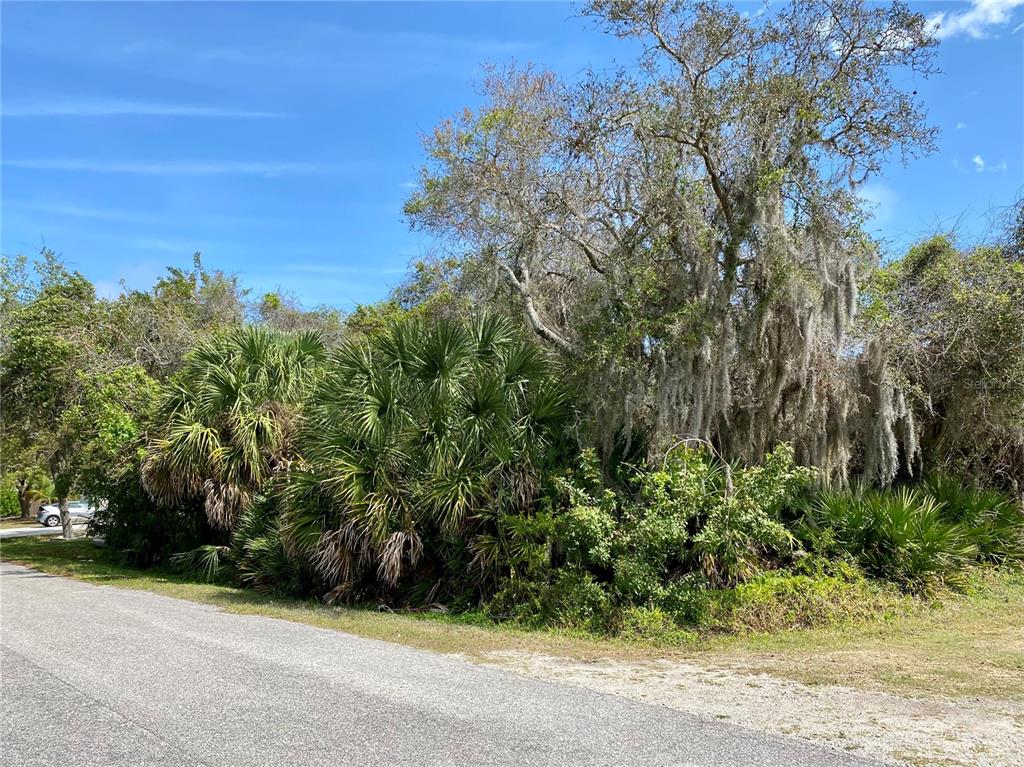 Phorus Road Venice, FL 34293 - Photo 1 of 1 a view of a garden