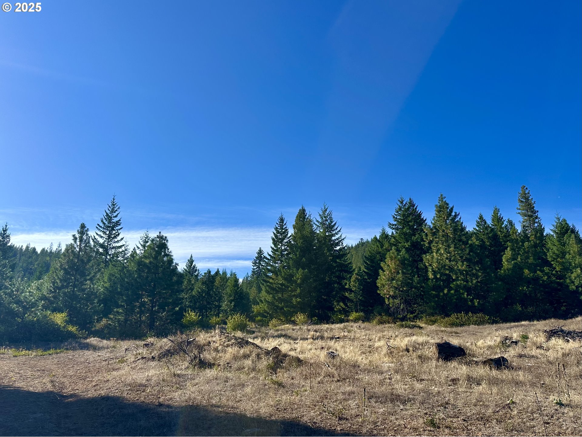 Black Butte Goldendale, WA 98620 - Photo 14 of 43 a view of a yard with a tree