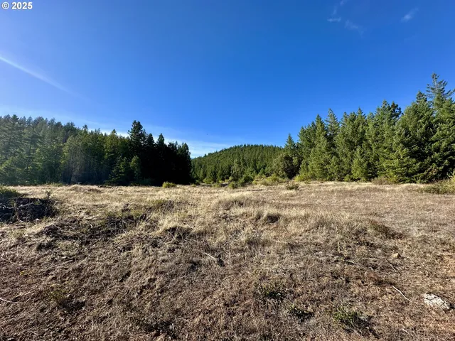 a view of mountain view with tree in background