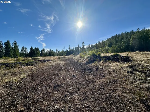 a view of a field with trees in background