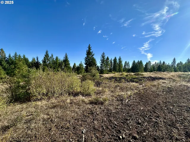 a view of a field with trees in background