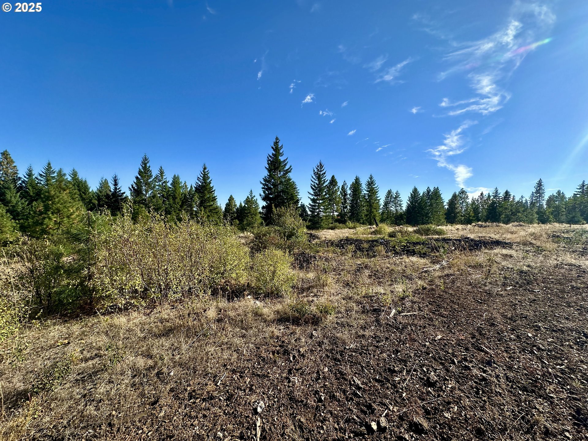 Black Butte Goldendale, WA 98620 - Photo 20 of 43 a view of a field with trees in background