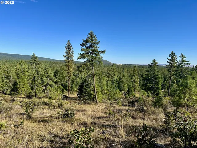 a view of a green field with lots of bushes