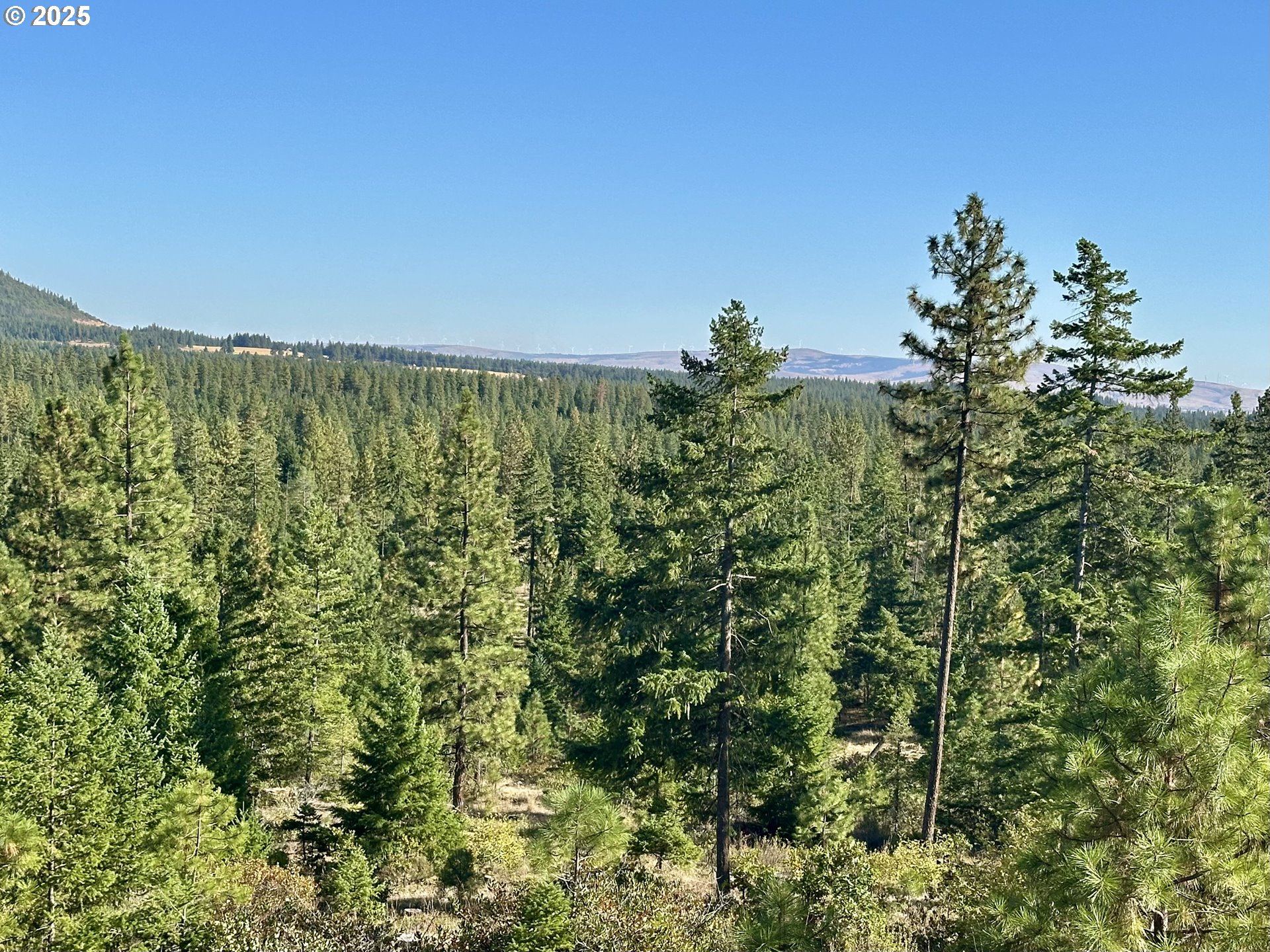 Black Butte Goldendale, WA 98620 - Photo 25 of 43 a view of a garden