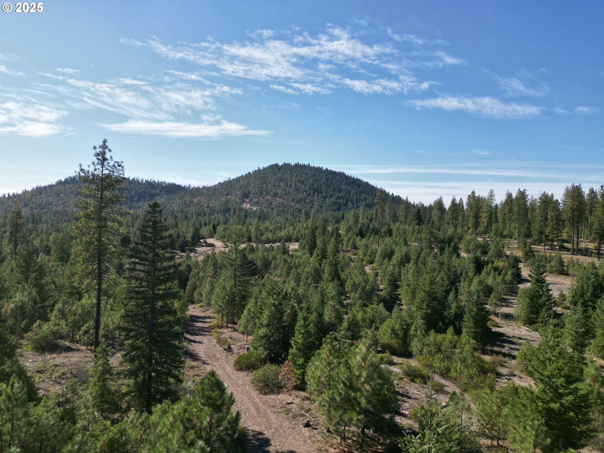 Black Butte Goldendale, WA 98620 - Photo 27 of 43 a view of a city with lush green forest