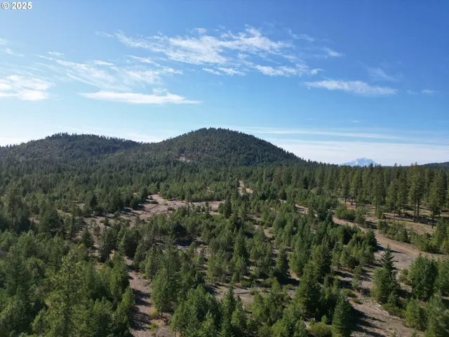 a view of a mountain in the distance in a field