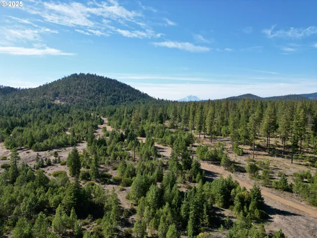 a view of a city with mountains in the background