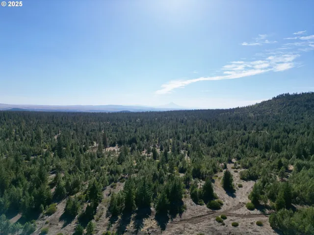 a view of a city with lush green forest