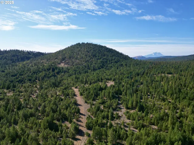 a view of a city with mountains in the background