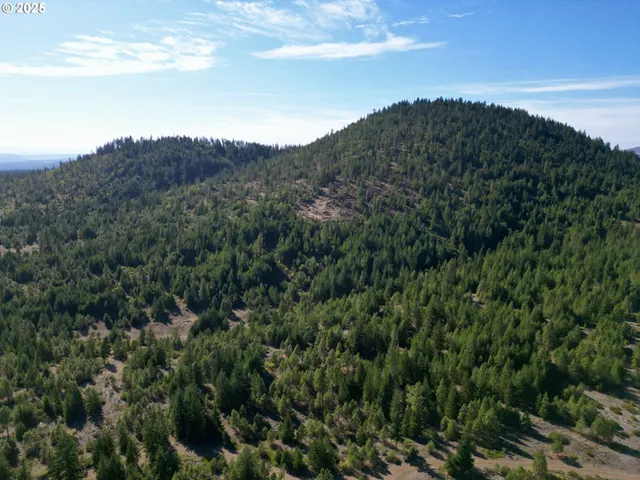 a view of a mountain