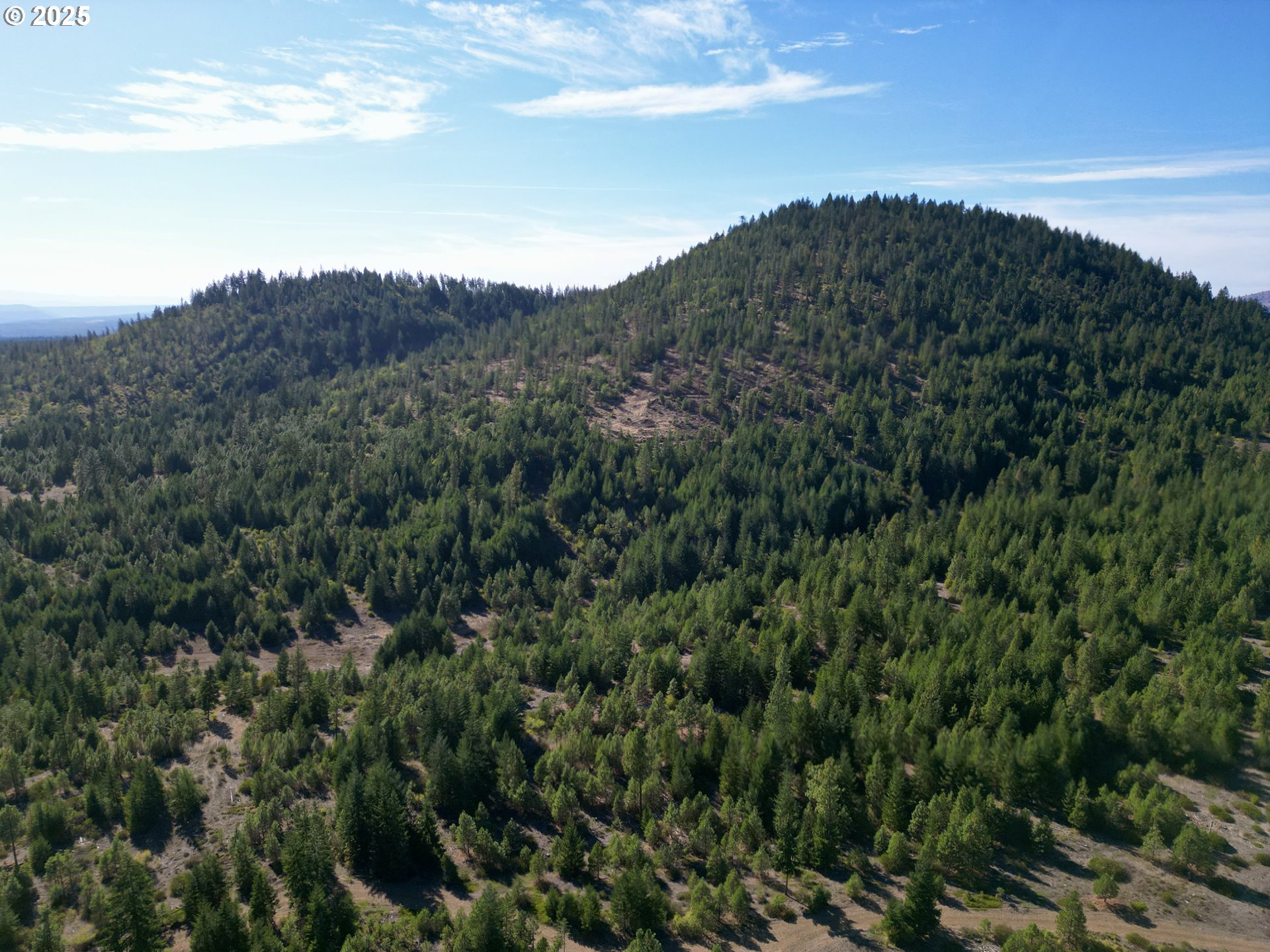 Black Butte Goldendale, WA 98620 - Photo 39 of 43 a view of a mountain