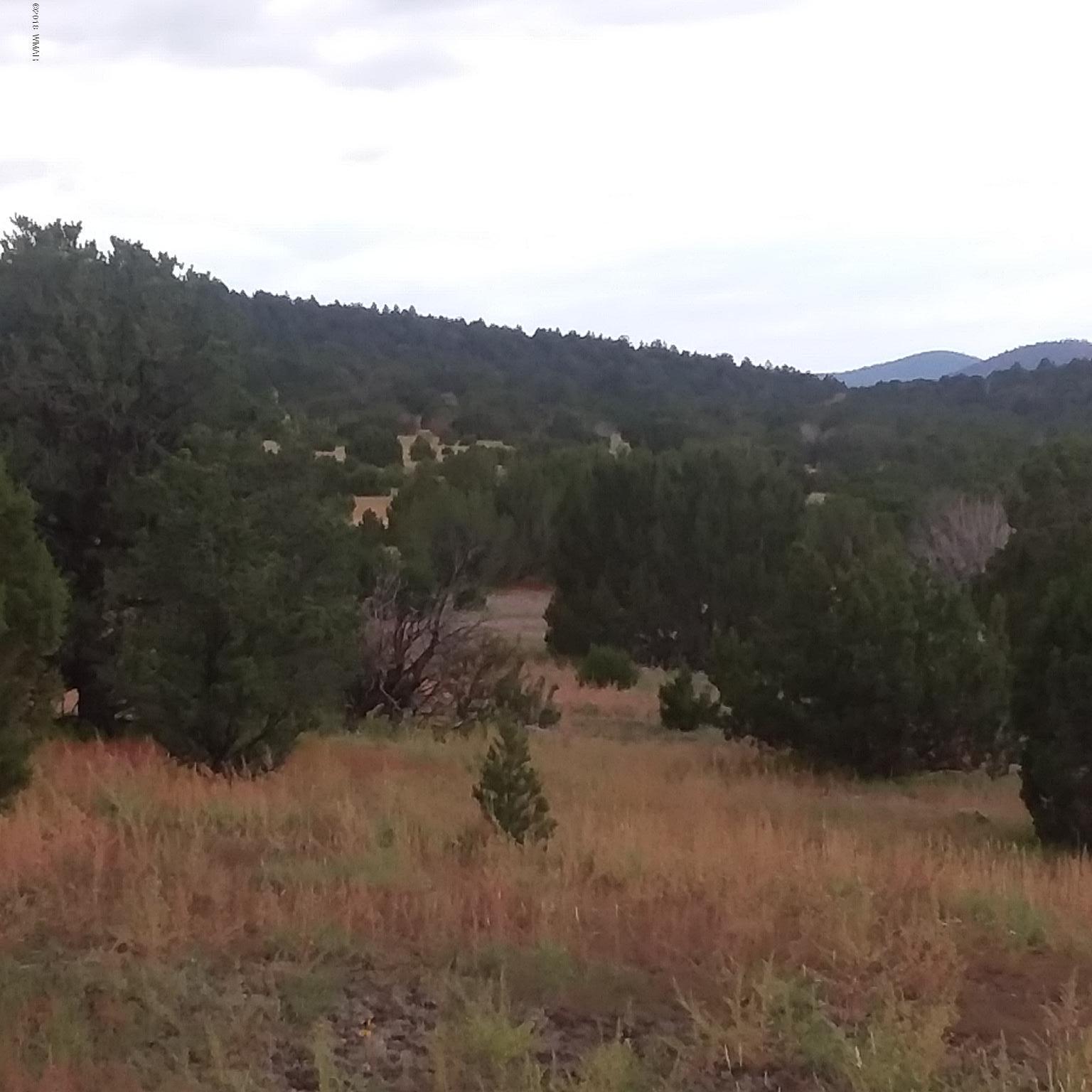 Lot 72 Pine Ridge Ranch Concho, AZ 85924 - Photo 1 of 8