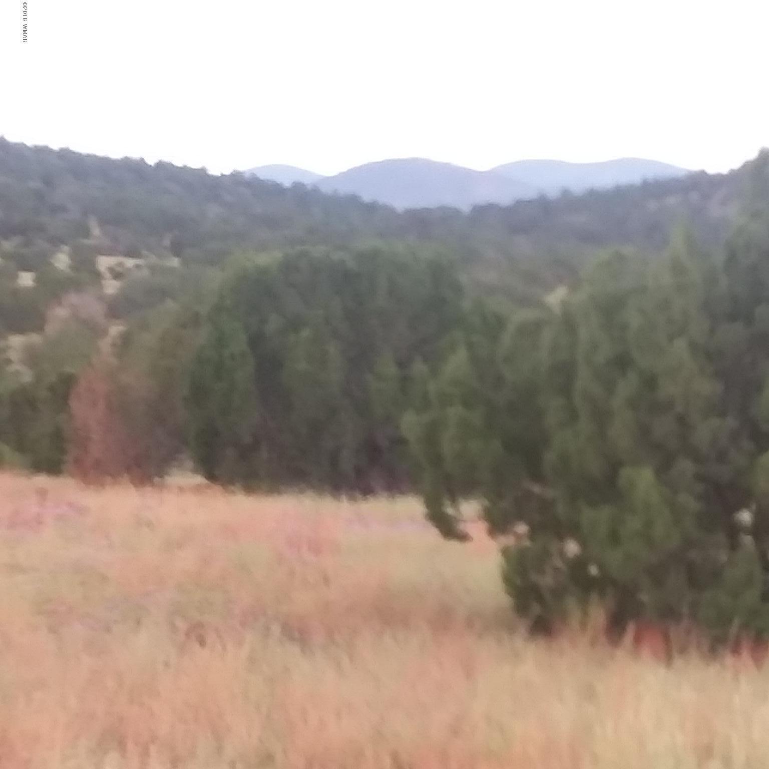 Lot 72 Pine Ridge Ranch Concho, AZ 85924 - Photo 2 of 8