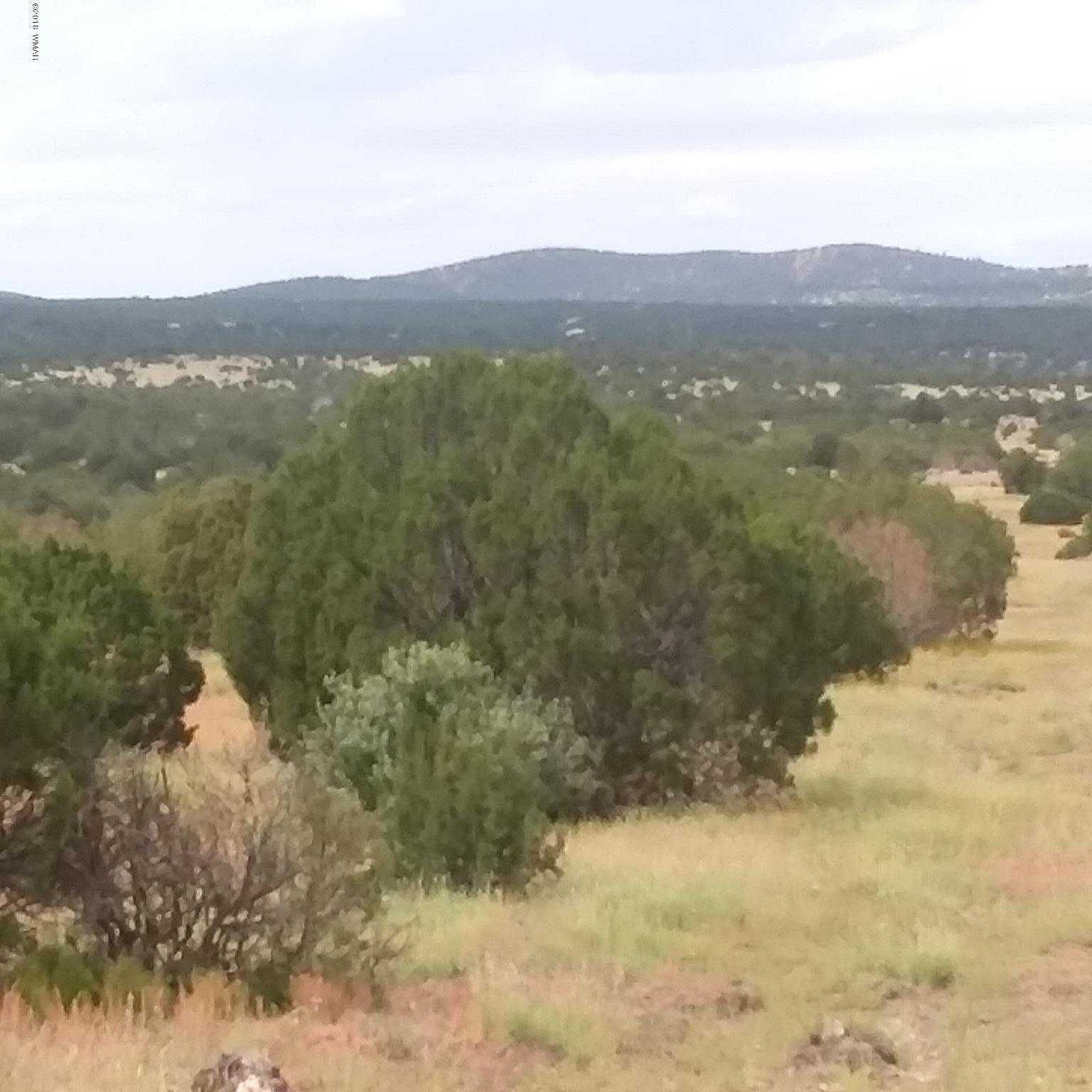 Lot 72 Pine Ridge Ranch Concho, AZ 85924 - Photo 3 of 8