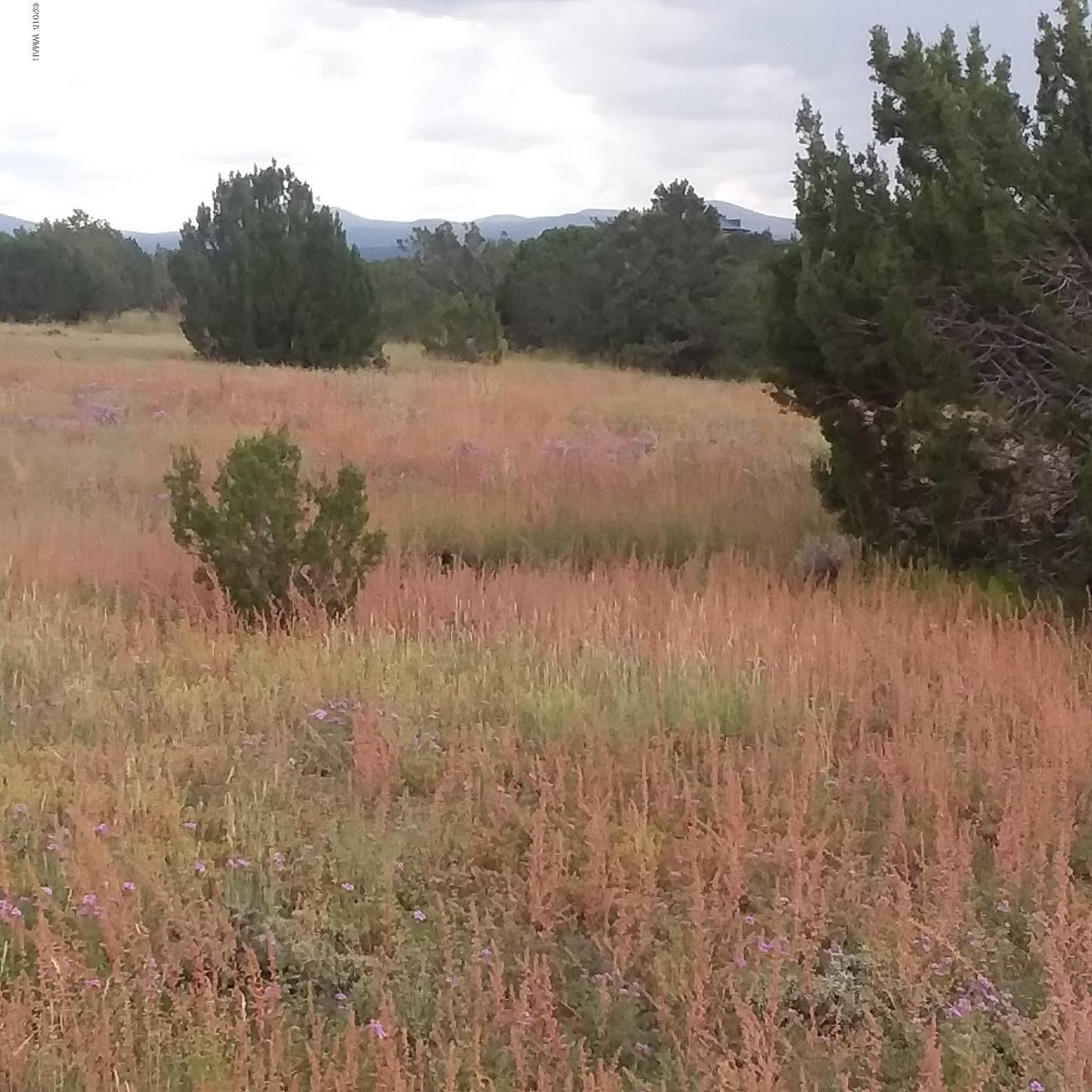 Lot 72 Pine Ridge Ranch Concho, AZ 85924 - Photo 4 of 8