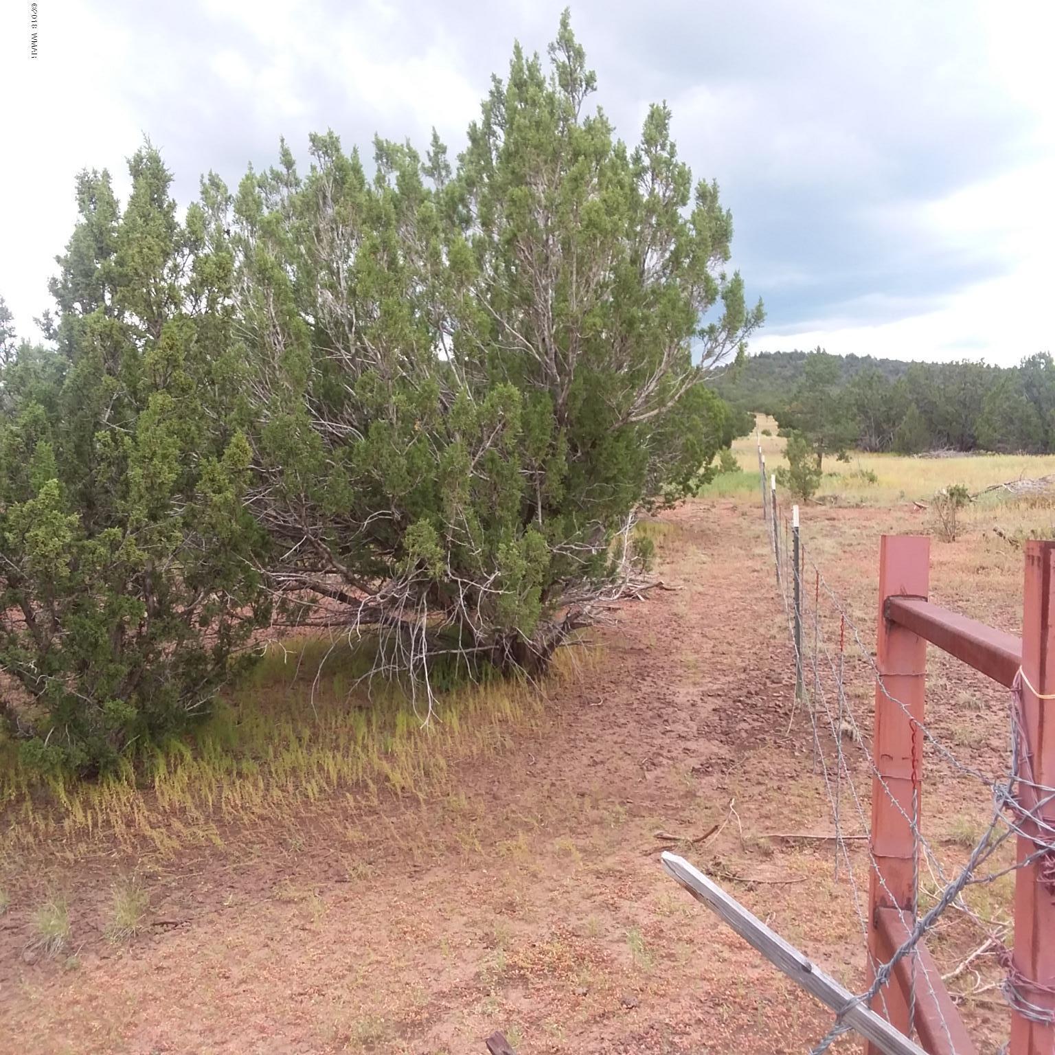 Lot 72 Pine Ridge Ranch Concho, AZ 85924 - Photo 5 of 8