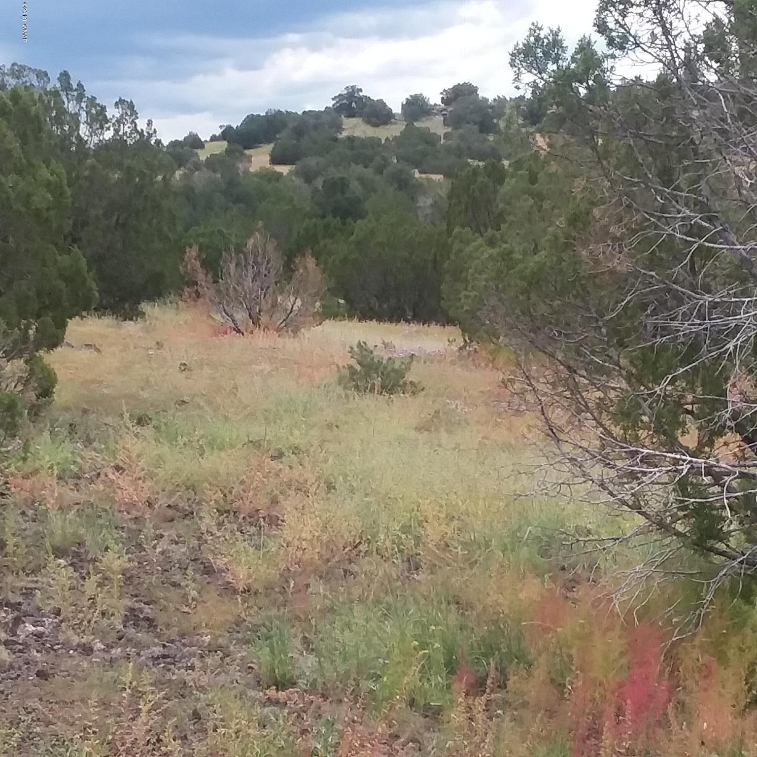 Lot 72 Pine Ridge Ranch Concho, AZ 85924 - Photo 6 of 8