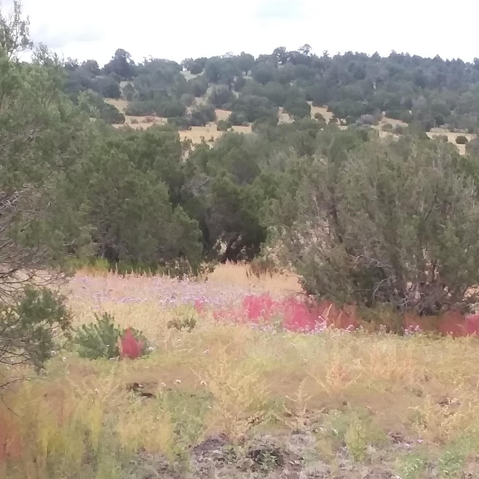Lot 72 Pine Ridge Ranch Concho, AZ 85924 - Photo 7 of 8