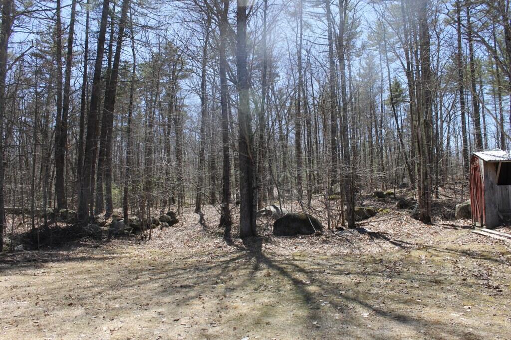 37 Brown Road Raymond, ME 04071 - Photo 34 of 36 back yard