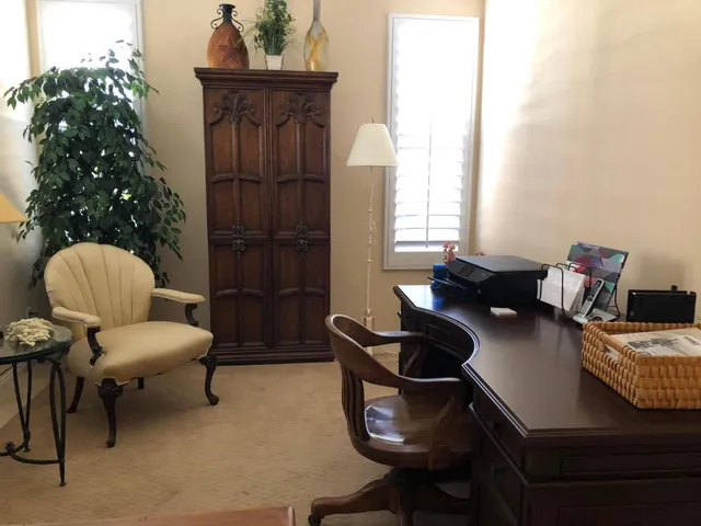 a living room with furniture and a potted plant