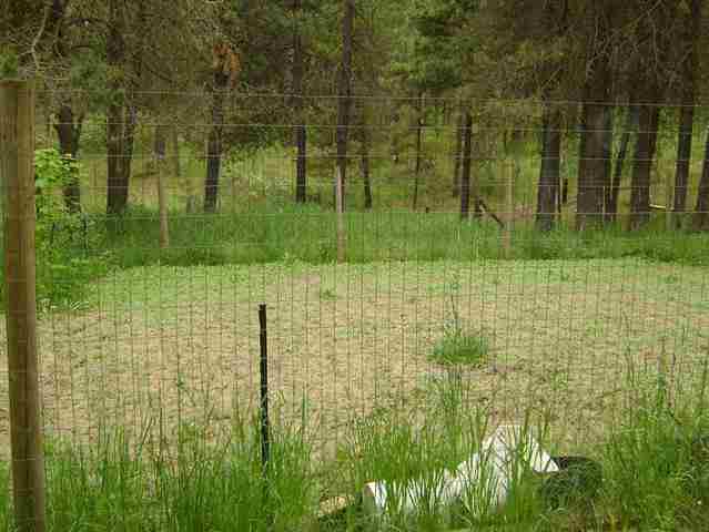 4602 West Staley Road Deer Park, WA 99006 - Photo 14 of 18 Gallery Image 14