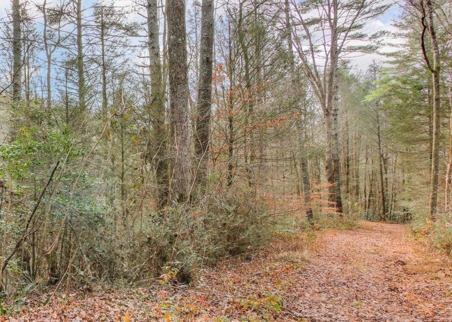 Lot 2 Laurel Overlook Road Ellijay, GA 30540 - Photo 3 of 10