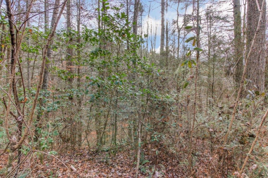 Lot 2 Laurel Overlook Road Ellijay, GA 30540 - Photo 4 of 10